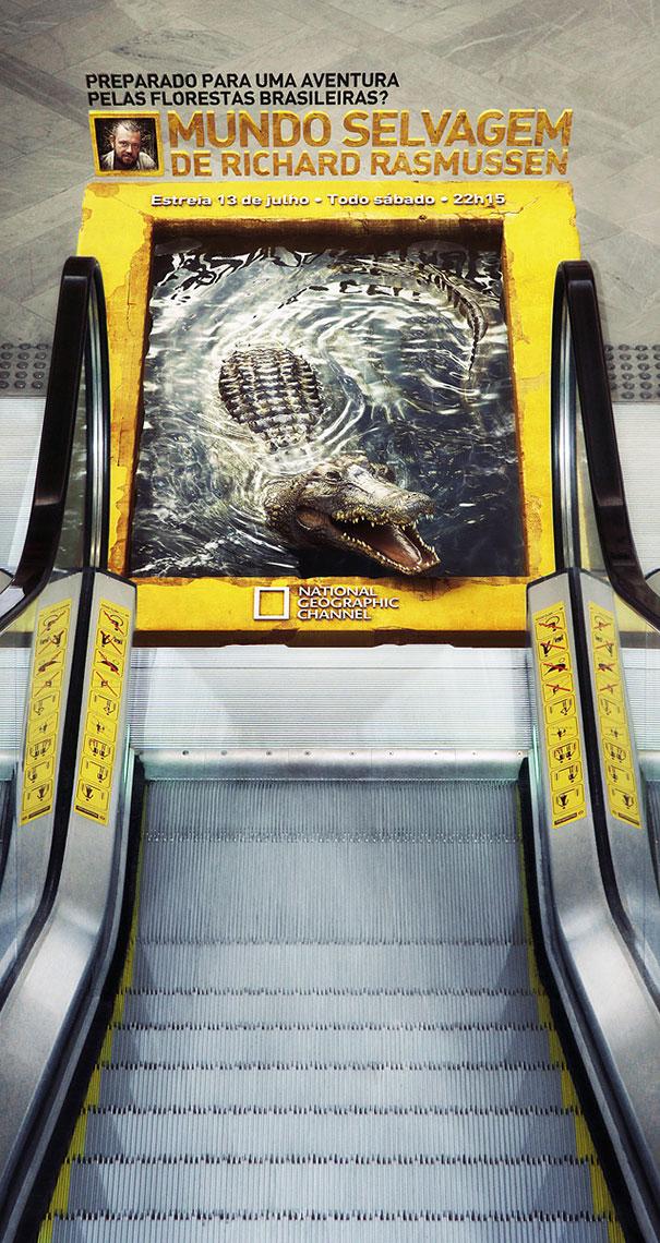 A banner with yellow color thas has a crocodile and escalator image for National Geographic Channel.
