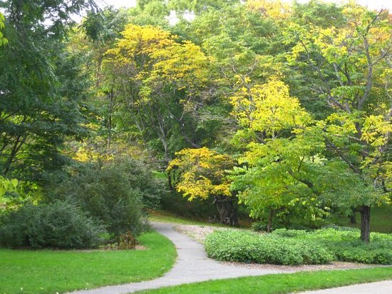 Arnold Arboretum