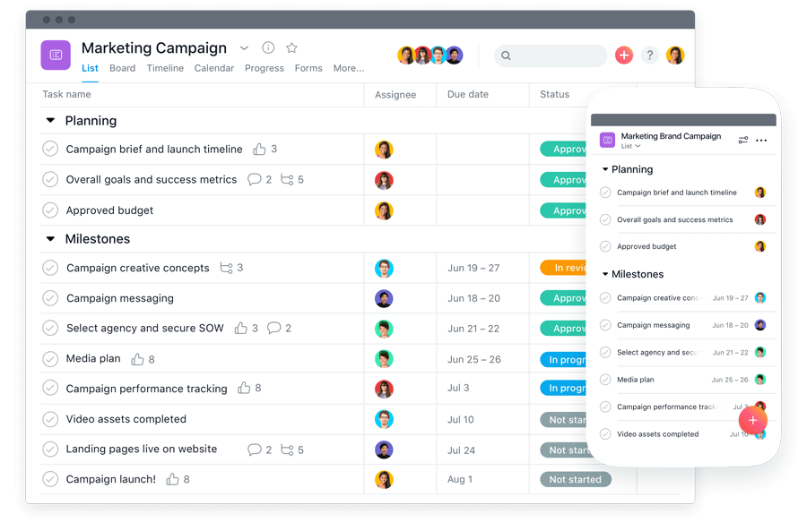 Asana platform for team organization