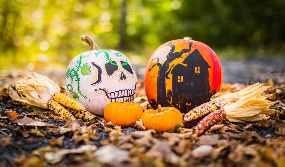 halloween-pumpkins-decorated